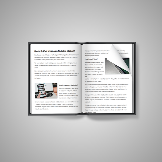 Instagram Influence Accelerator: Turn Posts into Profits