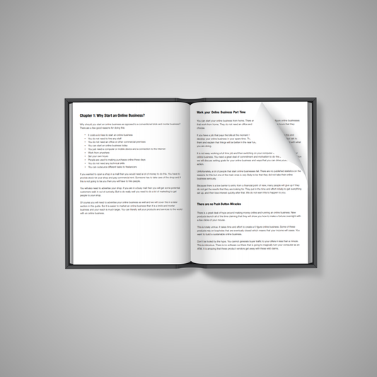 Business Development: The Beginner’s Guide to Launching a 6-Figure Digital Business