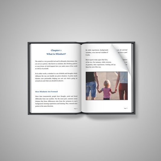 Mindset Shift Playbook: Think Like a Winner, Work Like a CEO