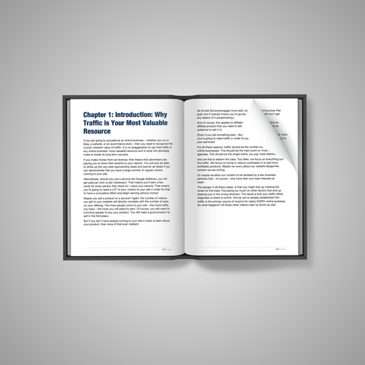 Traffic Mastery: Get Consistent Visitors from Google & Search Engines