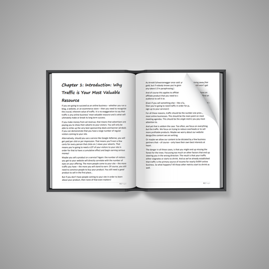 Traffic Booster Pack: SEO & Search Marketing for Long-Term Results