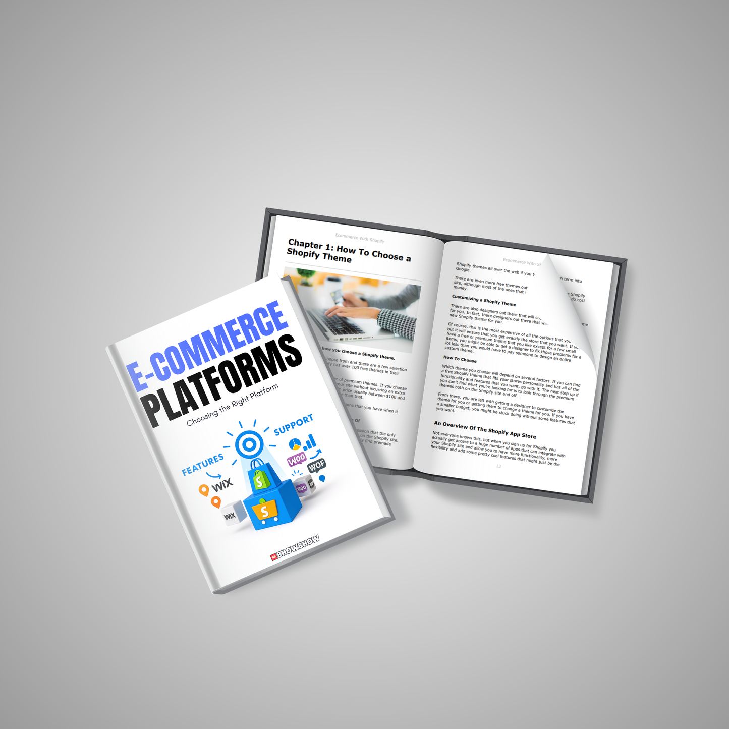 E-Commerce Platforms:  Choosing the Right Platform