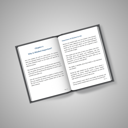 Mindset Shift Playbook: Think Like a Winner, Work Like a CEO